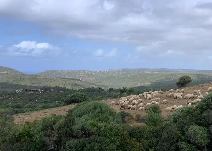 Aparthotel Paduledda 3*