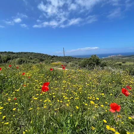 Lejlighedshotel Vista Mare In Collina 4*