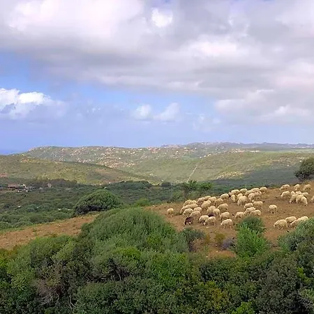 Vista Mare In Collina 4*