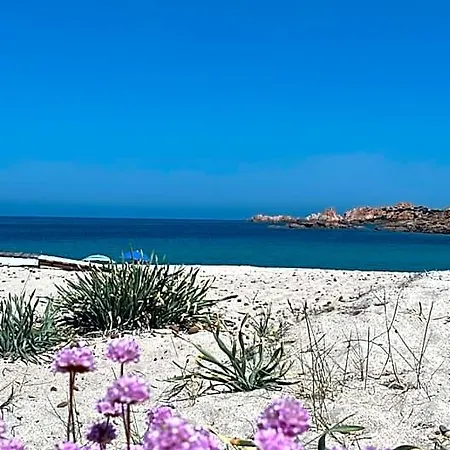 아파트호텔 Vista Mare In Collina 이솔라 로사