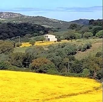 Vista Mare In Collina 아파트호텔 이솔라 로사