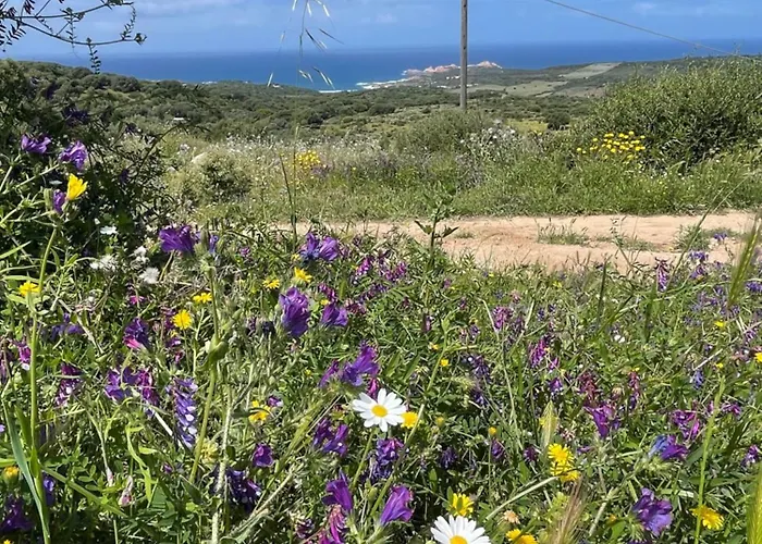 Paduledda Apart Otel 3*