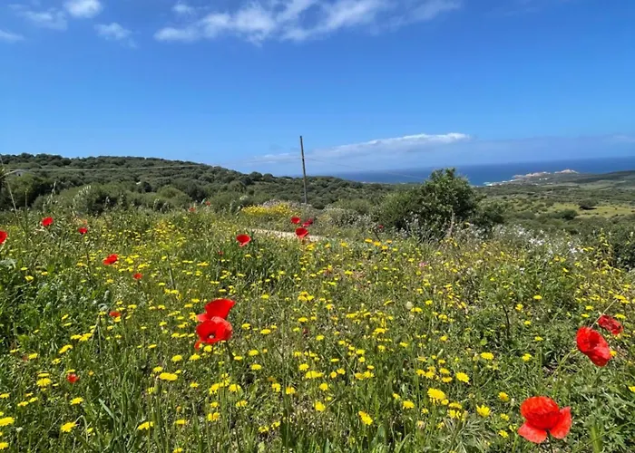 Apart Otel Paduledda 3*