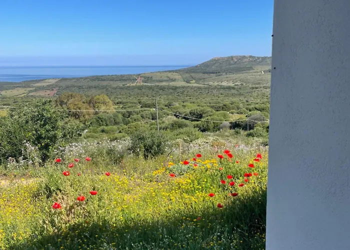 Paduledda Apart Otel Isola Rossa (Sassari)