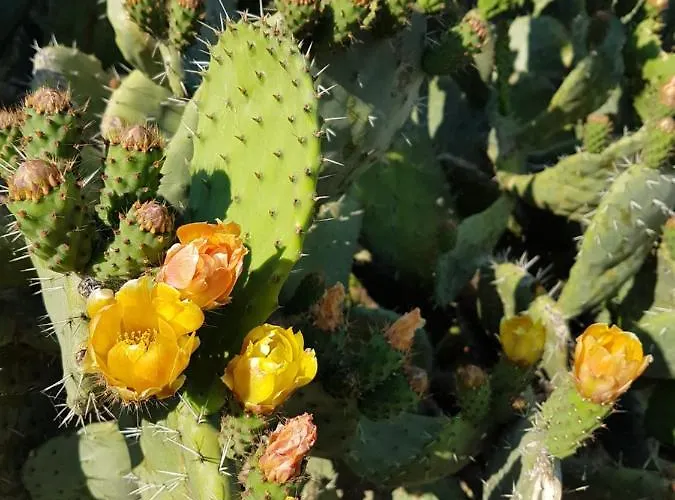 Apart Otel Paduledda 3*